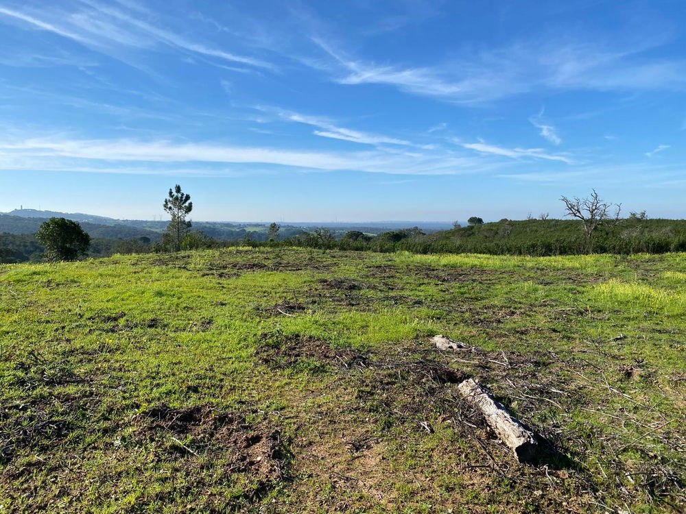 Plot of land overlooking the lagoon in Santiago do Cacém 1050805159