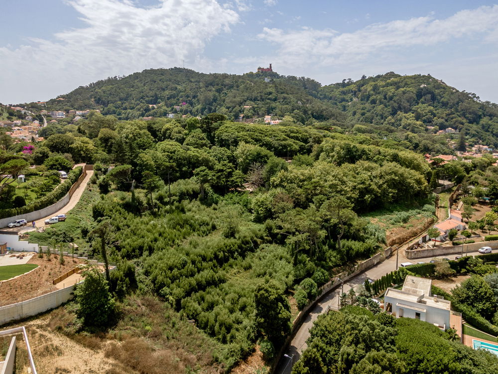 Farmhouse with approved project in S. Pedro de Sintra 1852444172