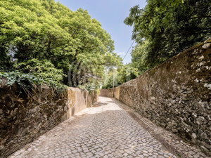 Farmhouse with approved project in S. Pedro de Sintra 1852444172