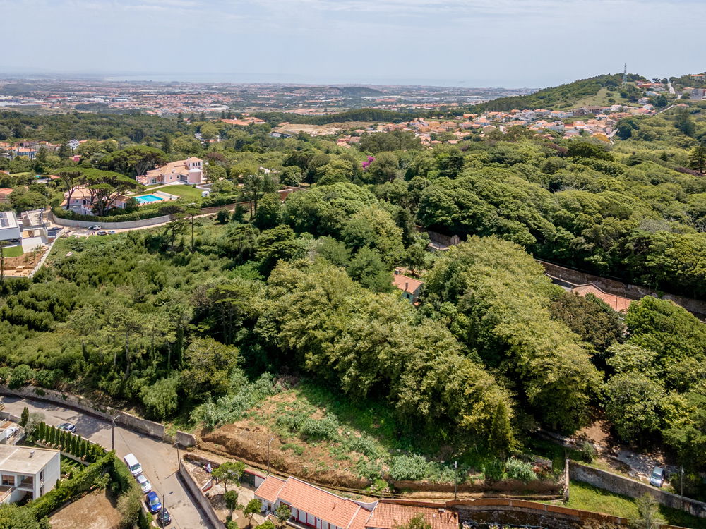 Farmhouse with approved project in S. Pedro de Sintra 1852444172