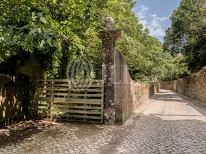 Farmhouse with approved project in S. Pedro de Sintra 1852444172