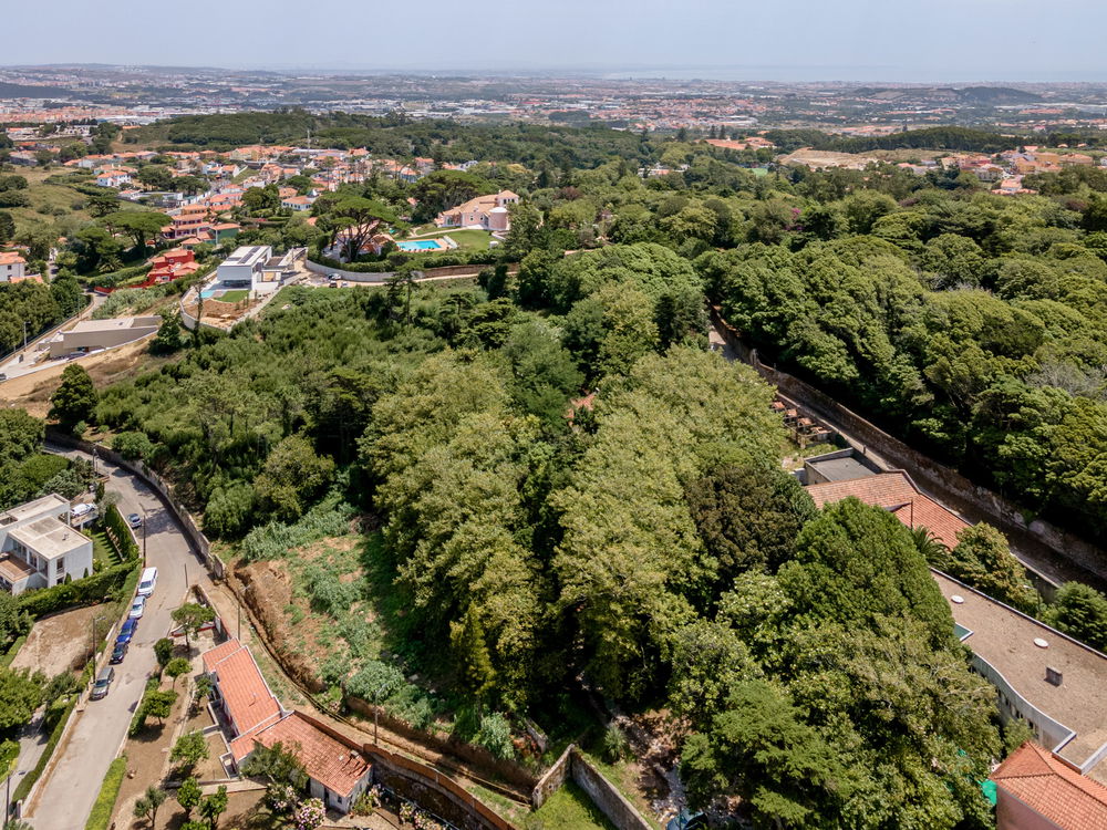 Farmhouse with approved project in S. Pedro de Sintra 1852444172