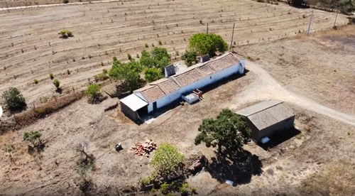 Land with ruin on Estrada da Boavista, in Melides 237094446