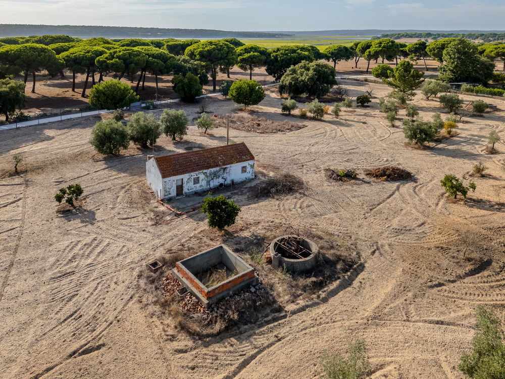 Farm 3 Bedrooms Not Applicable Alcácer do Sal 2632602084