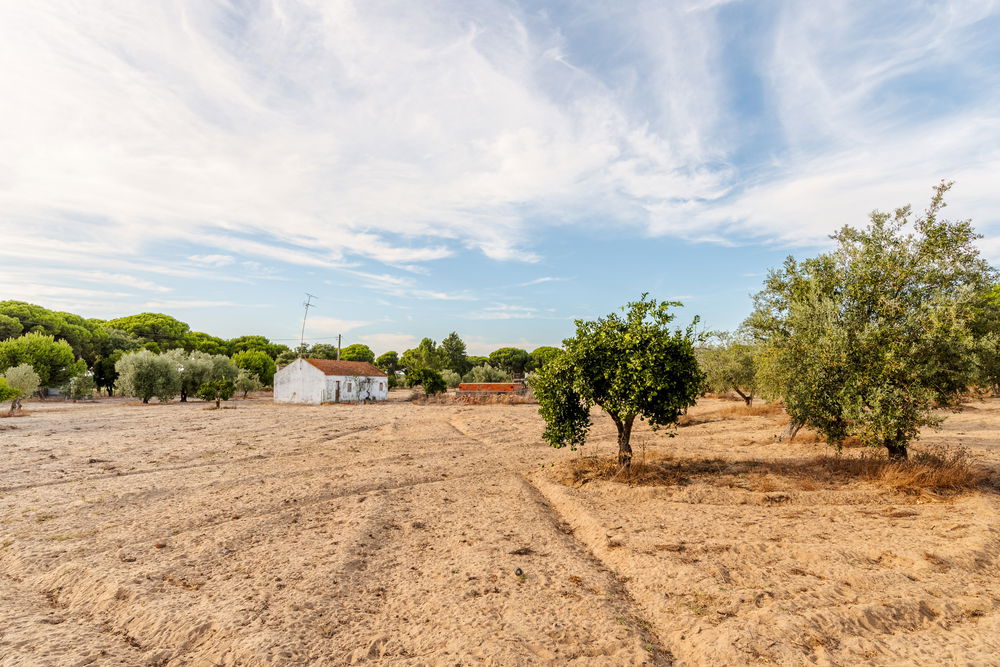 Farm 3 Bedrooms Not Applicable Alcácer do Sal 2632602084