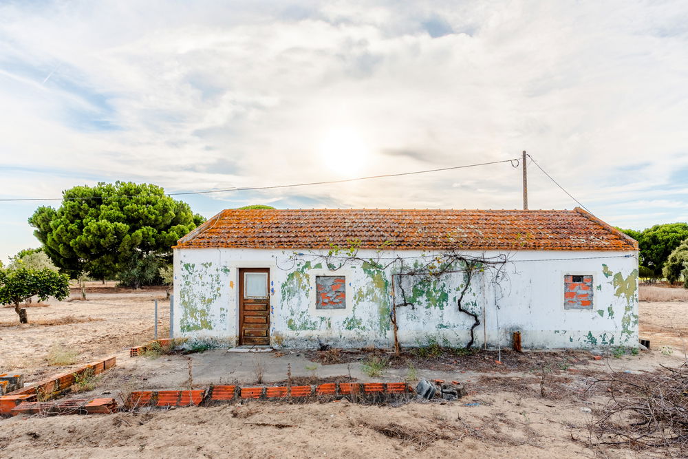 Farm 3 Bedrooms Not Applicable Alcácer do Sal 2632602084