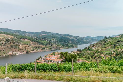 Land overlooking the Douro River, Caldas Aregos, Viseu 890985975