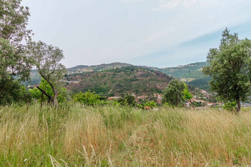 Land overlooking the Douro River, Caldas Aregos, Viseu 890985975