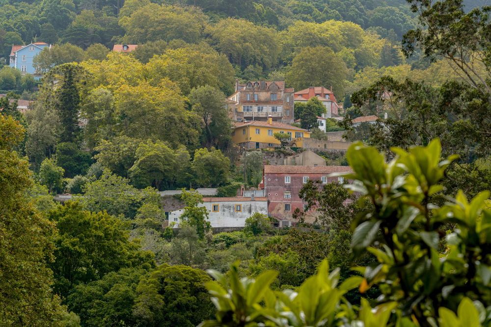 Villa in ruins in Sintra 3076616685