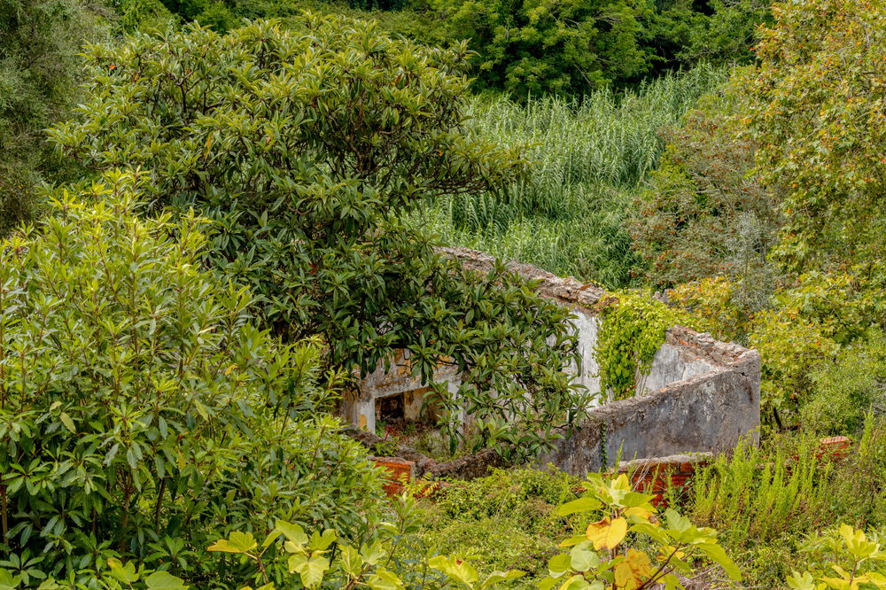 Villa in ruins in Sintra 3076616685