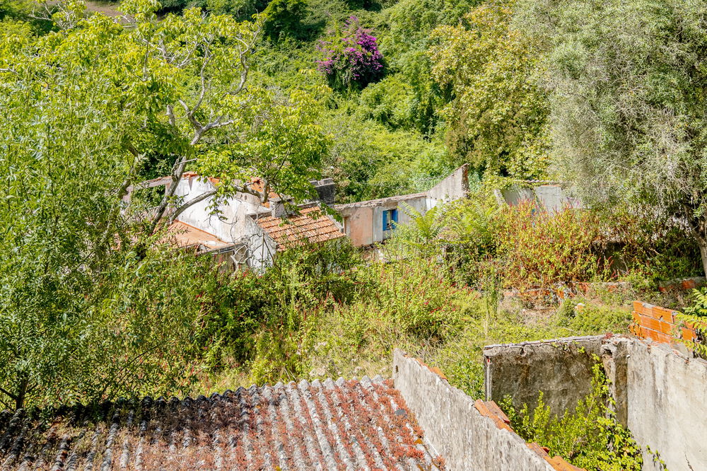 Villa in ruins in Sintra 3076616685