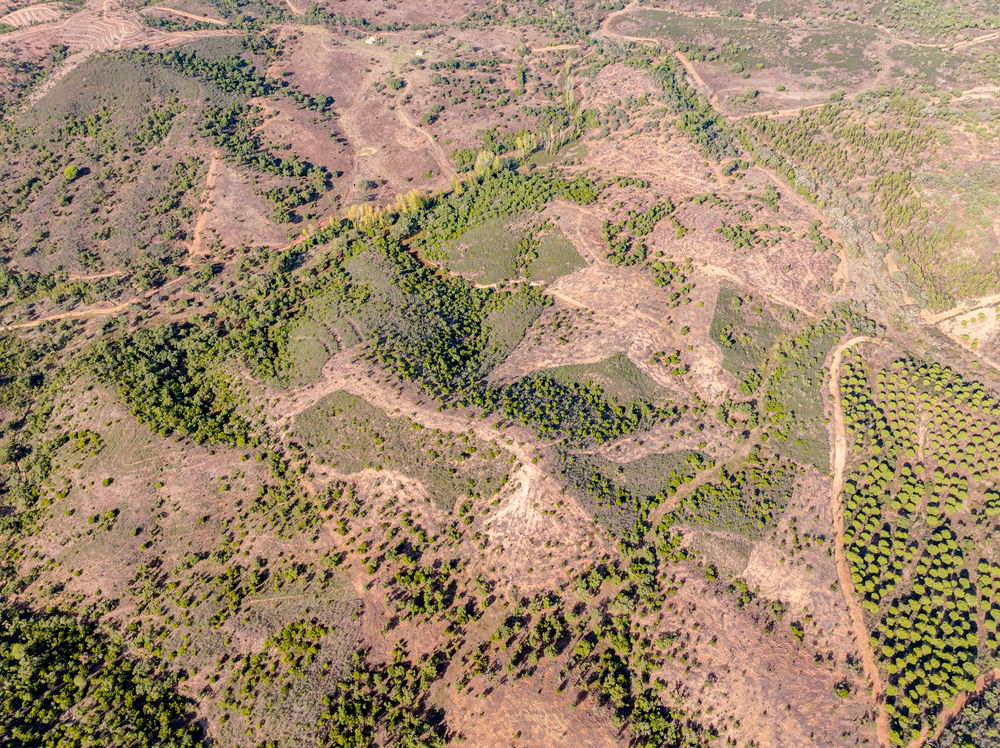 Land in Santa Margarida da Serra 2188938208