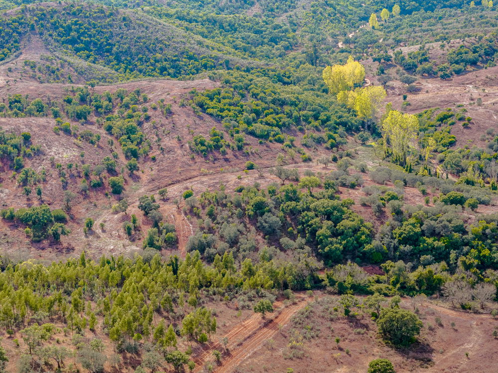 Land in Santa Margarida da Serra 2188938208