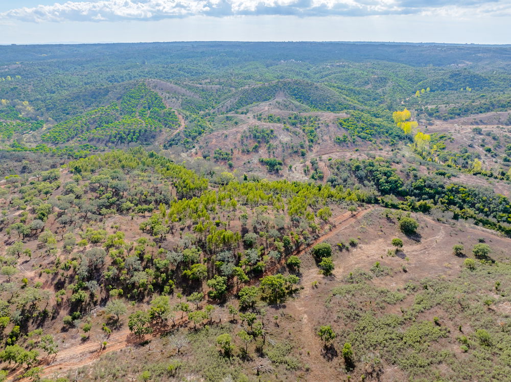 Land in Santa Margarida da Serra 2188938208