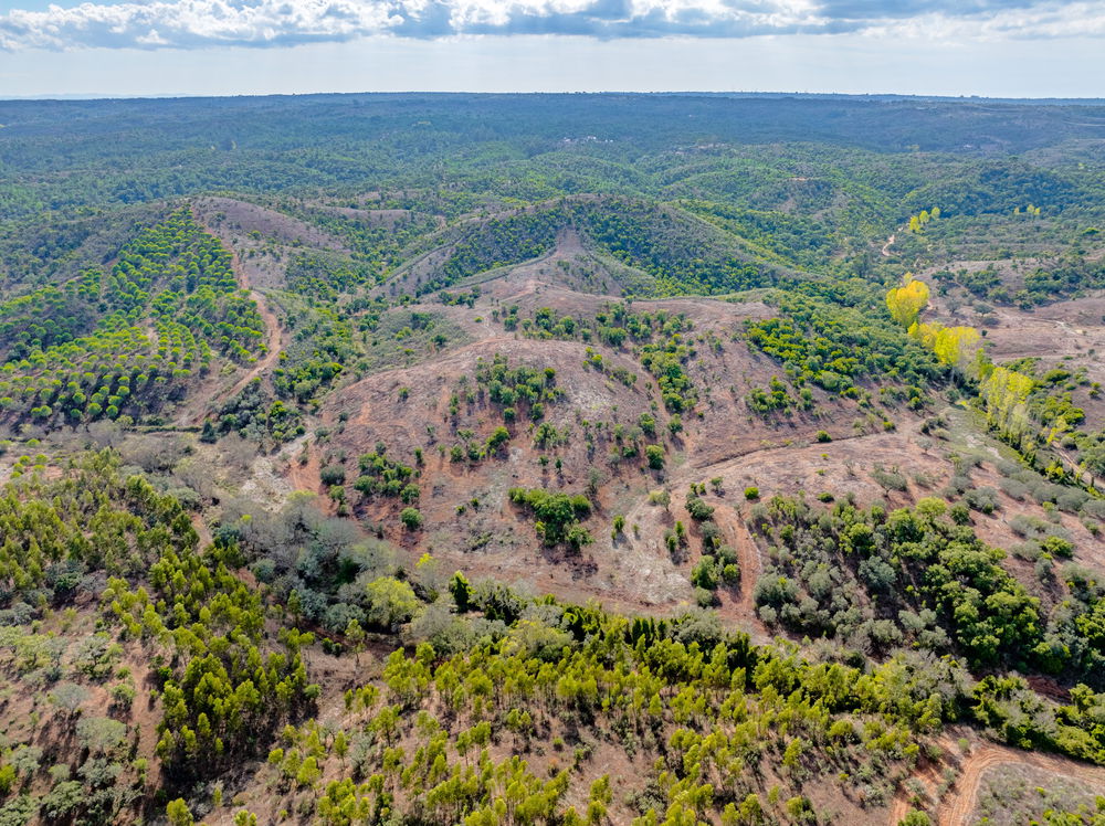 Land in Santa Margarida da Serra 2188938208