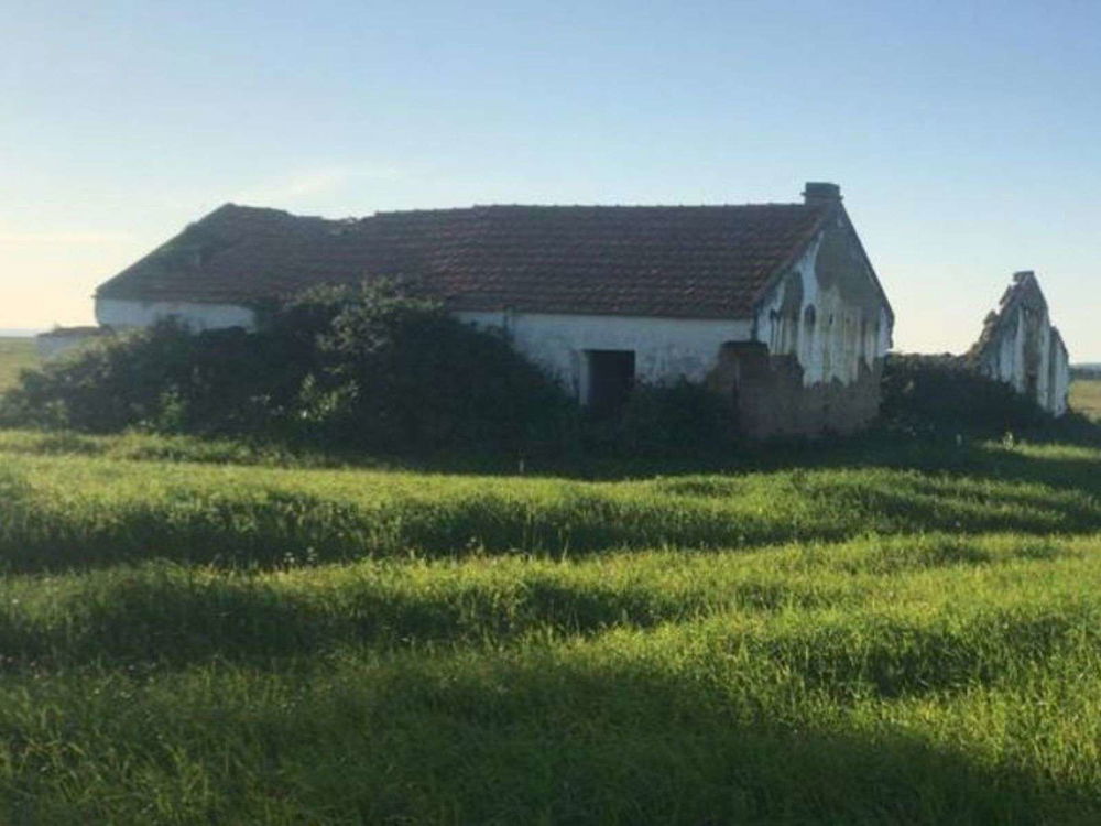 91-ha estate in São Teotónio, Odemira 3306390187