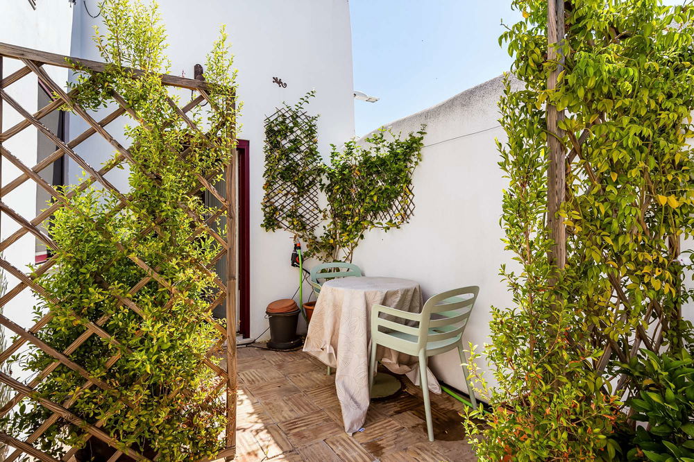 3-bedroom semi-detached house with pool and fireplace in Alvito, Alentejo 510064608