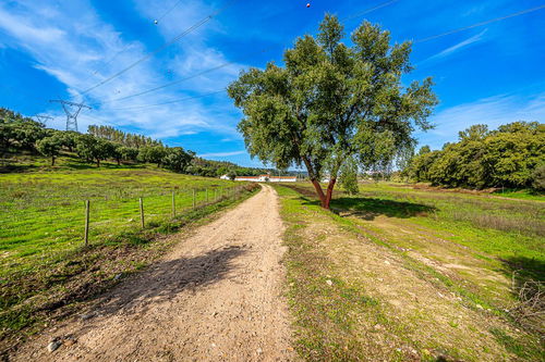 20 ha estate for sale in Abrantes 3904946368