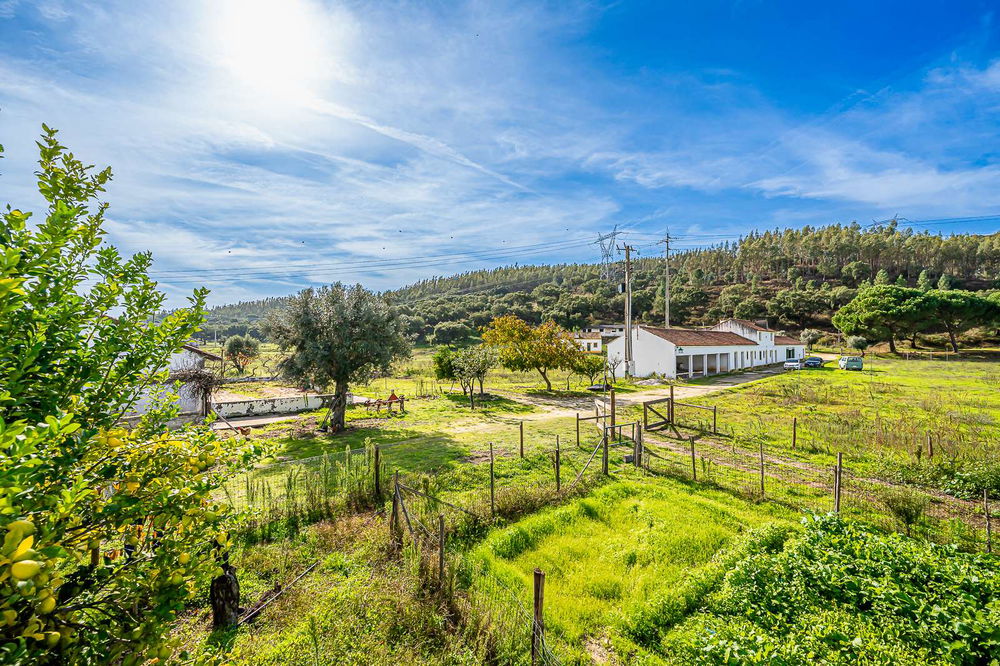 20 ha estate for sale in Abrantes 3904946368