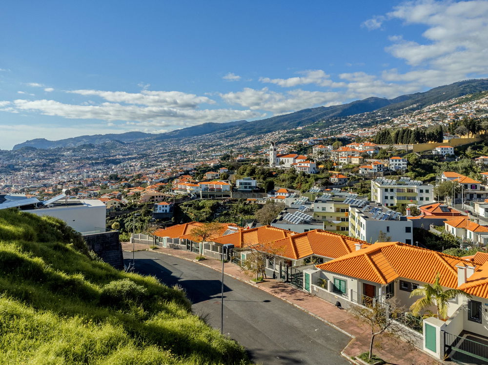 Land in São Gonçalo, Funchal, Madeira Island 460398214