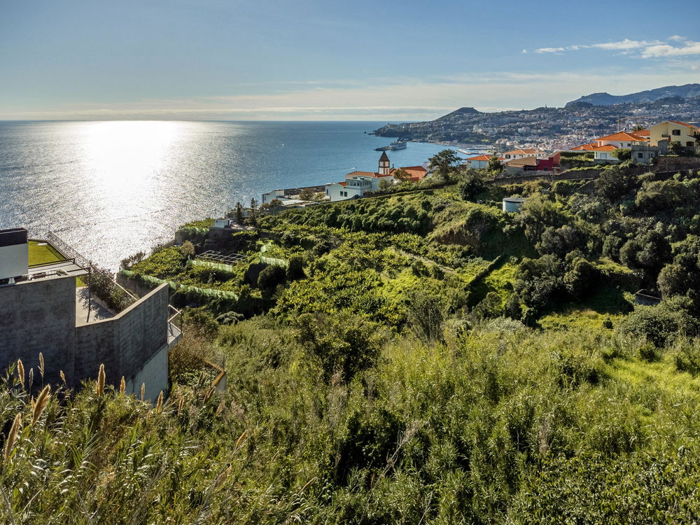 Land in São Gonçalo, Funchal, Madeira Island 84405214