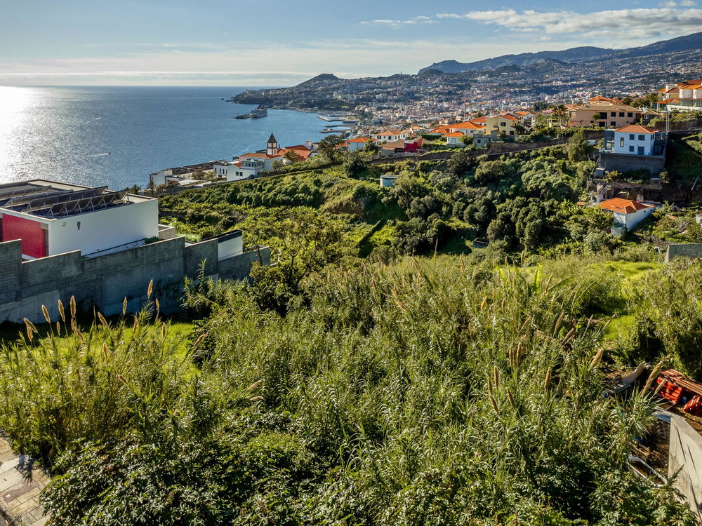 Land in São Gonçalo, Funchal, Madeira Island 84405214