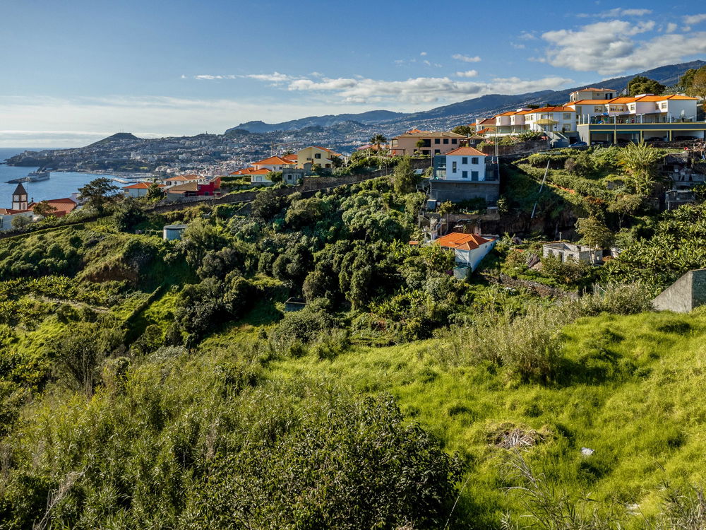 Land in São Gonçalo, Funchal, Madeira Island 84405214