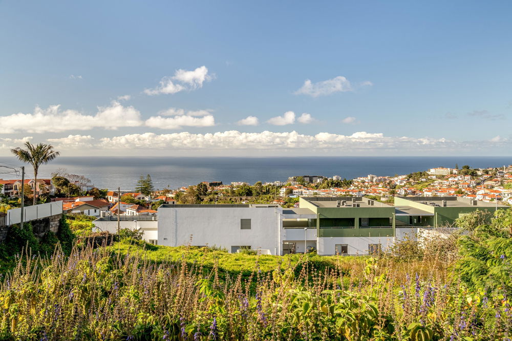 Plot of land for construction in Funchal, Madeira 2972266238