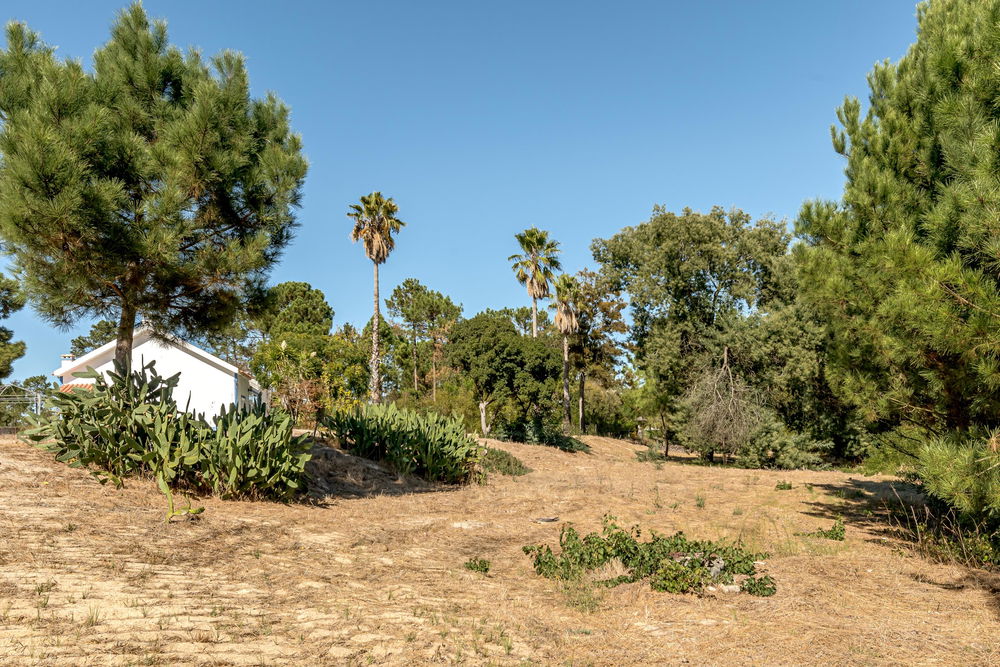 Plot with project, in Brejos da Carregueira de Baixo, Grândola 3203364479