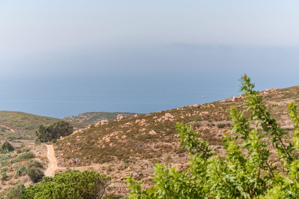 Moradia T4+2 vista mar Malveira da Serra Cascais 135308930