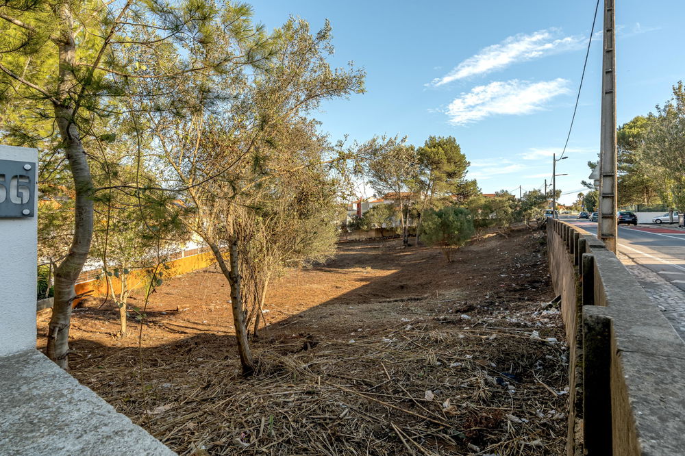 Plot with approved PIP in Birre, Cascais 255503421