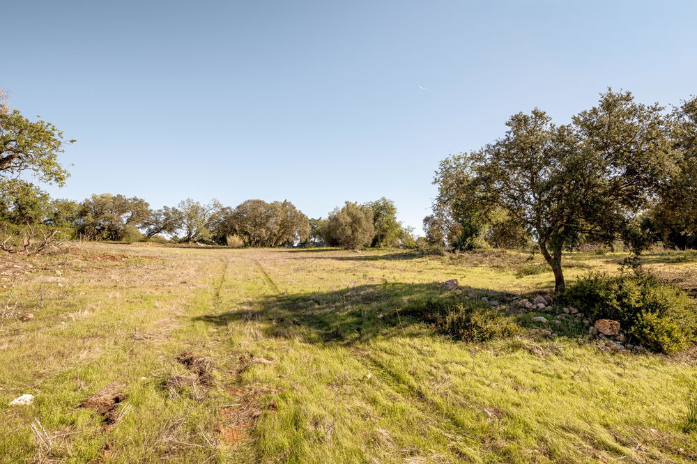 Land with ruin, in Alcantarilha, Pêra, Silves, Algarve. 803318380