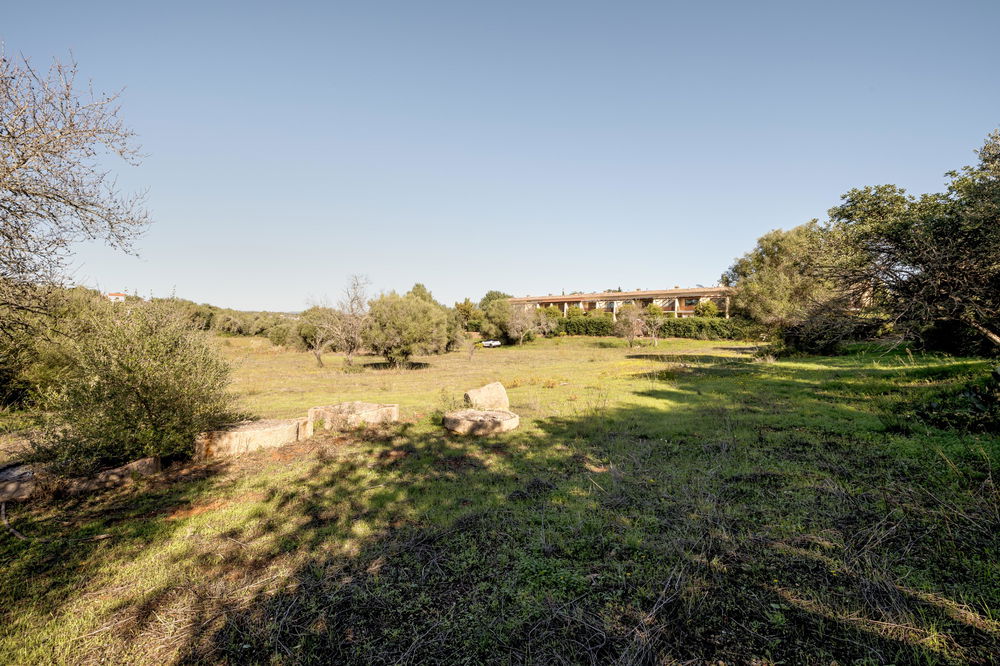 Land with ruin, in Alcantarilha, Pêra, Silves, Algarve. 803318380