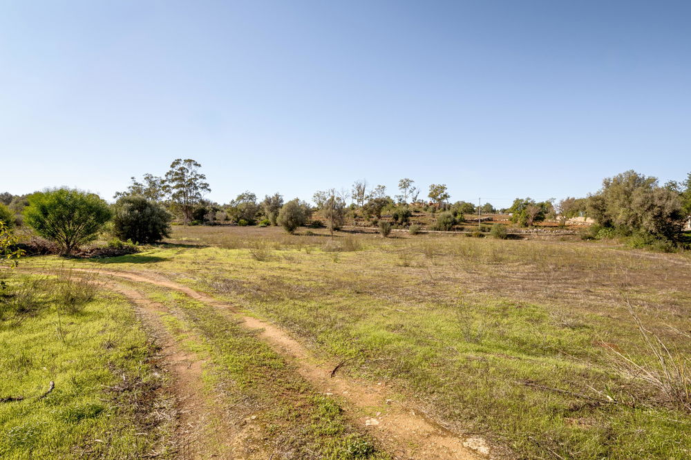 Land with ruin, in Alcantarilha, Pêra, Silves, Algarve. 803318380