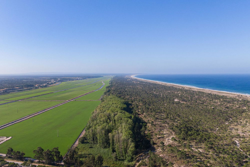 Land with approved project for villa, Comporta 1631938497