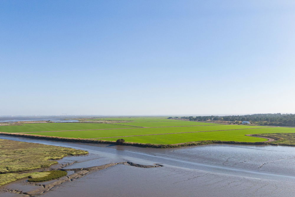 Land with approved project for villa, Comporta 1631938497