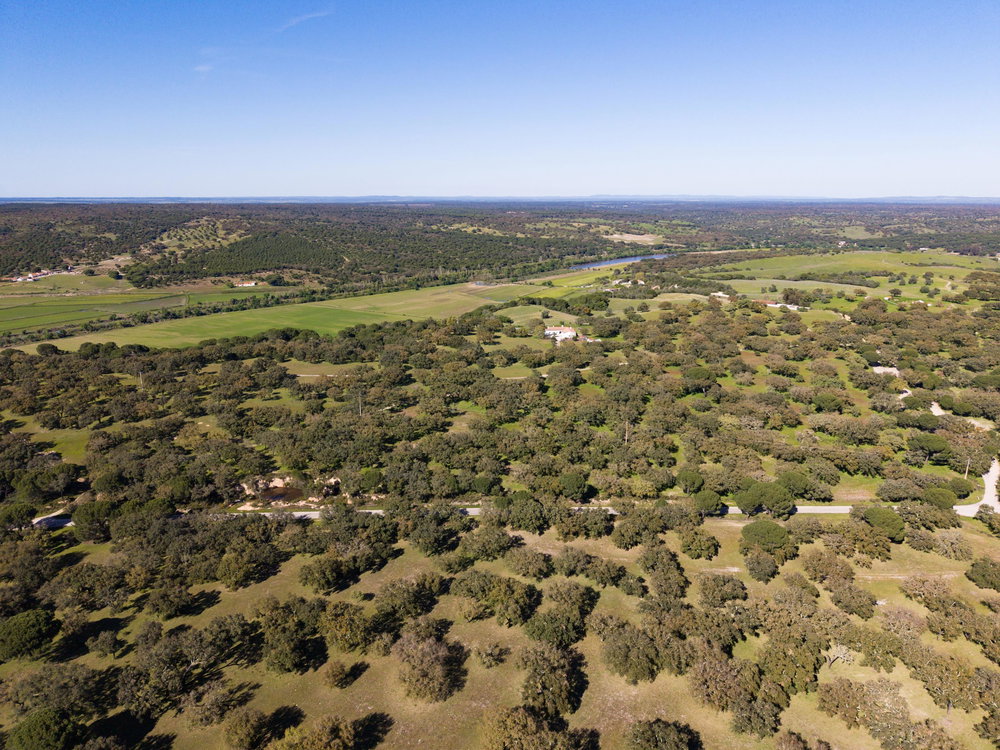 Estate with three buildings, Alcácer do Sal, Vale do Guizo 1467890537