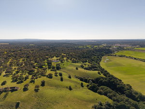 Estate with three buildings, Alcácer do Sal, Vale do Guizo 1467890537