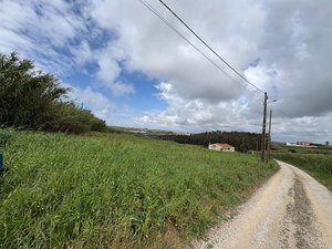 Developable land in Santa Cruz, Torres Vedras. 3387261689