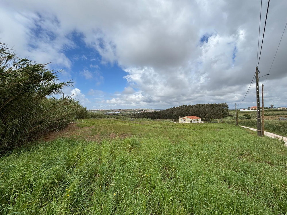Developable land in Santa Cruz, Torres Vedras. 3387261689