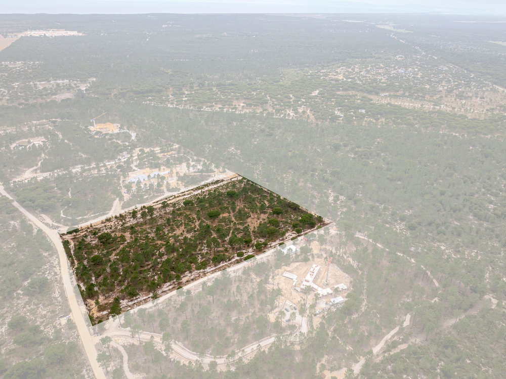 Estate for villa construction, in Muda Reserve, Grândola 3440599652