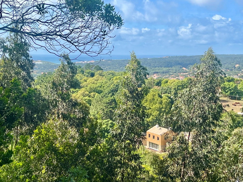4-bedroom villa terrace and views in Colares, Sintra 2038237260