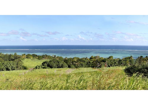 Land accessible to foreigners in an IRS domain in Bel Ombre, in the south of Mauritius 73553034