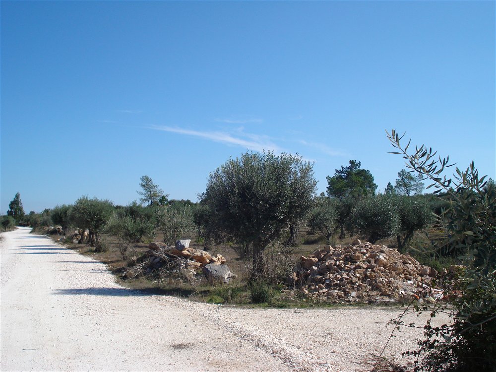 Property with 4 ha in borba region for sale. Nature in a pure state. 1829177706