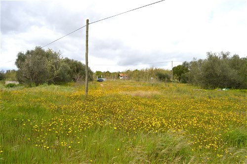 Rustic plot of land in Vila de Frades 273232052