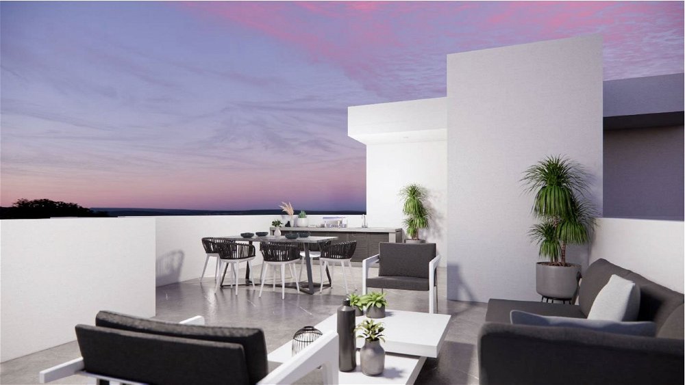 Penthouse with roof garden 2831300052