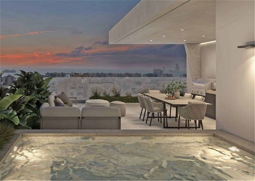 Stunning Penthouse with Roof Garden 3961197244