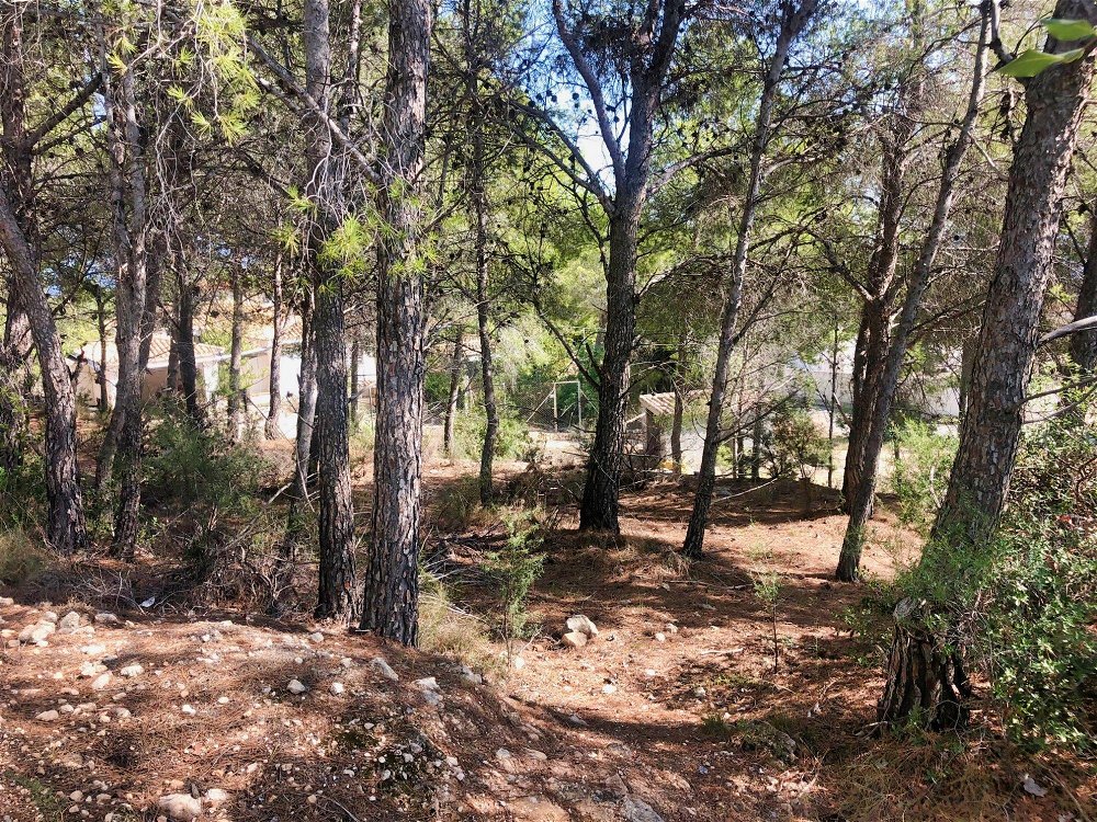 for investors! plot for 4 houses with sea views in altea 926056688