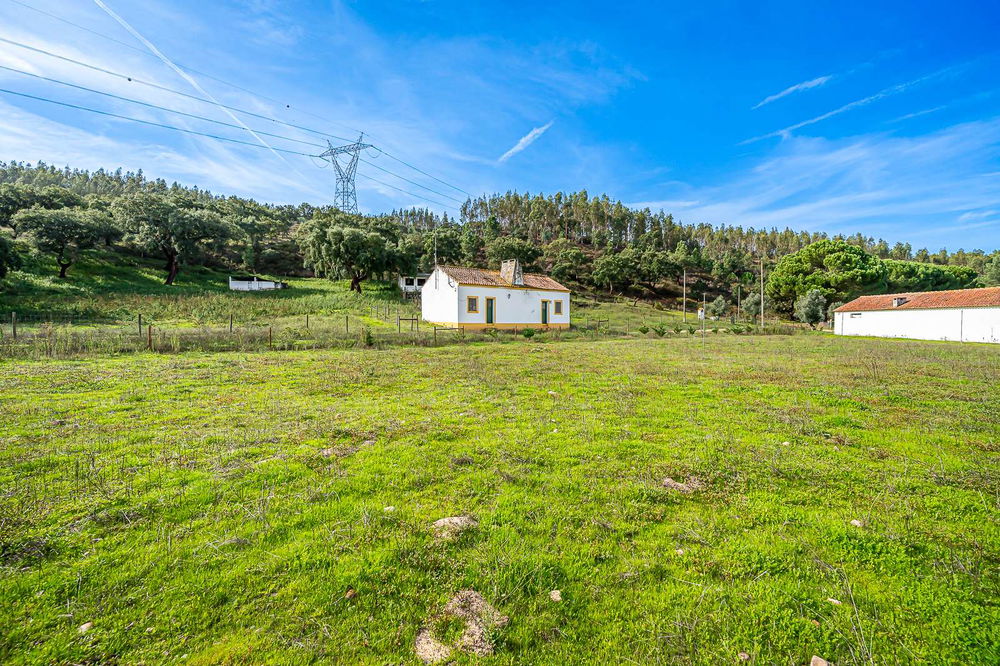 20 ha estate for sale in Abrantes 1419587530