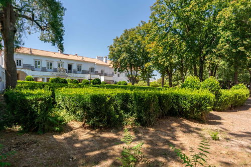 Estate in Borba, Évora 1431243640